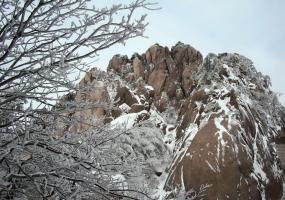 Huangshan Photos